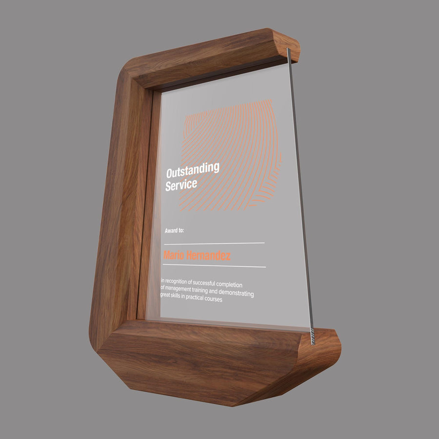 Modern Award Plaque Trophy Display Achievement Award Ceremony Gift Recognition Plaque