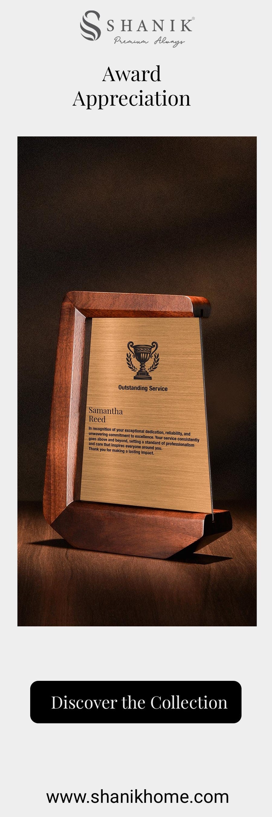 Prestigious Cooper Brushed Plaque Custom Logo Award Modern Trophy Desk Plaque