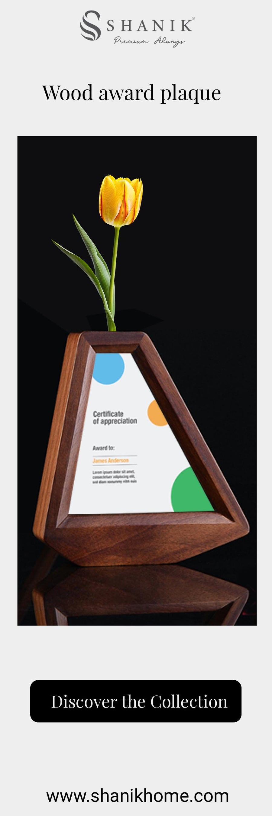 Modern Printed Award Plaque Trophy Display