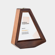 Modern Printed Award Plaque Trophy Display